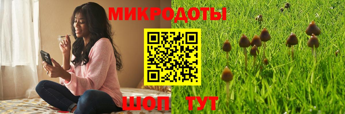 Галлюциногенные грибы Cubensis Кимры