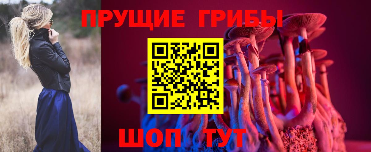 Псилоцибиновые грибы Psilocybe  Вход с VPN  Кимры  Псилоцибиновые грибы Magic Shrooms 